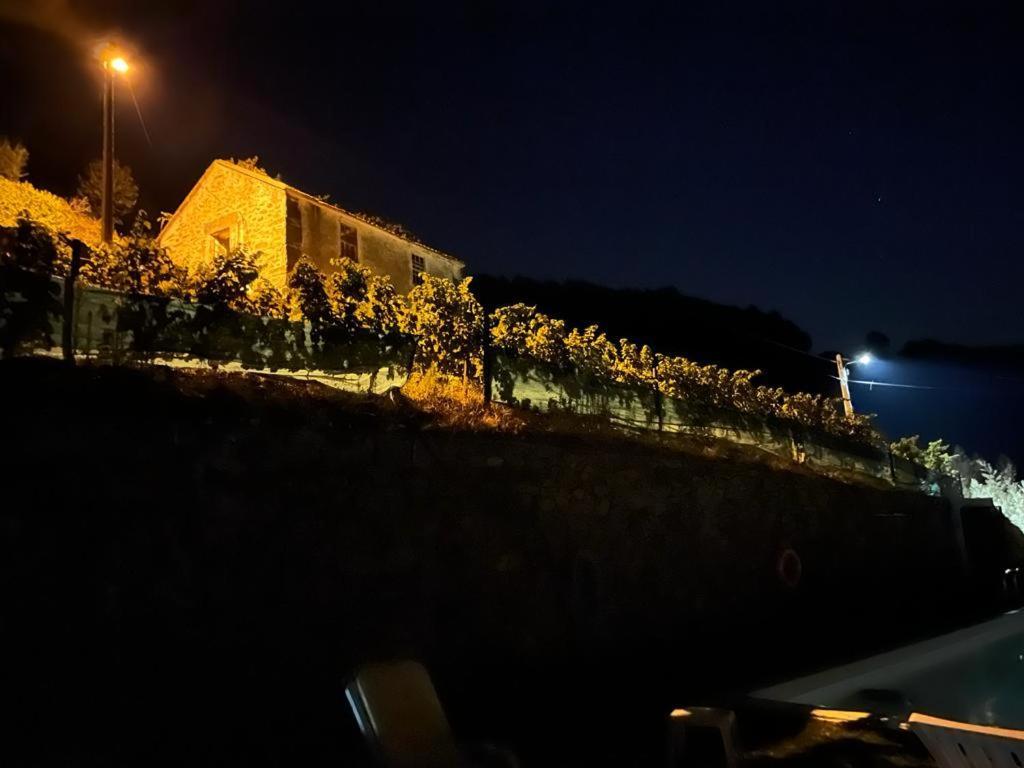 メザン・フリーオ Casa Da Oliveiraヴィラ エクステリア 写真
