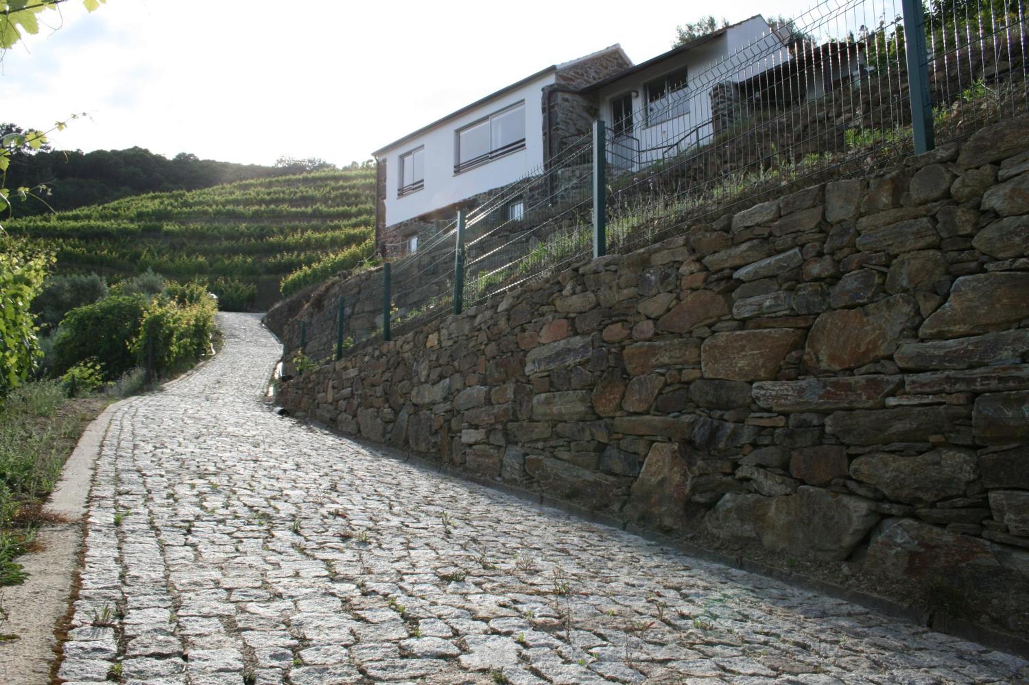 メザン・フリーオ Casa Da Oliveiraヴィラ エクステリア 写真